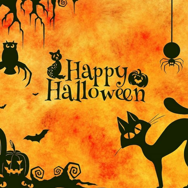 Happy Halloween, Mahogany Brown and Teal Beadwoven Wearable Art ...